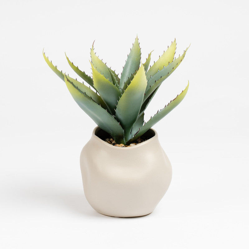 30cm Artificial Aloe Plant in Ceramic pot